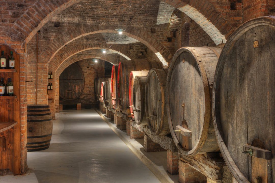 WSET Diploma: Cost, Structure & Is It Worth It?
