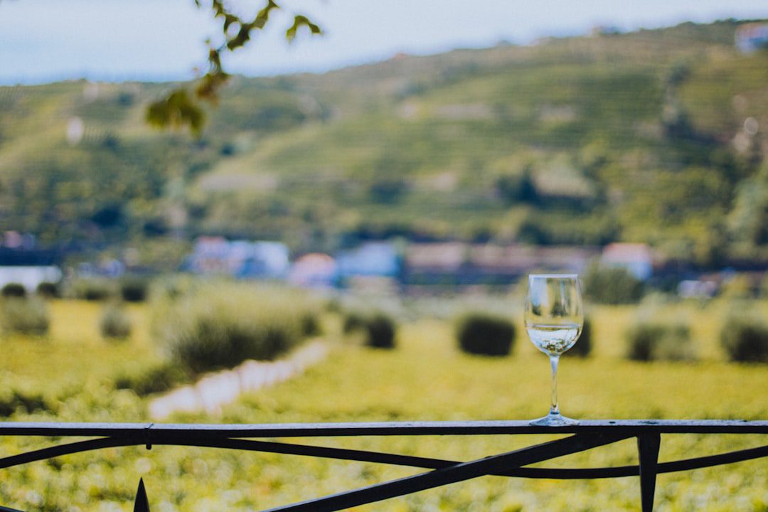 Vinho Verde: Portugal's Fizzy, Fresh Summer Secret