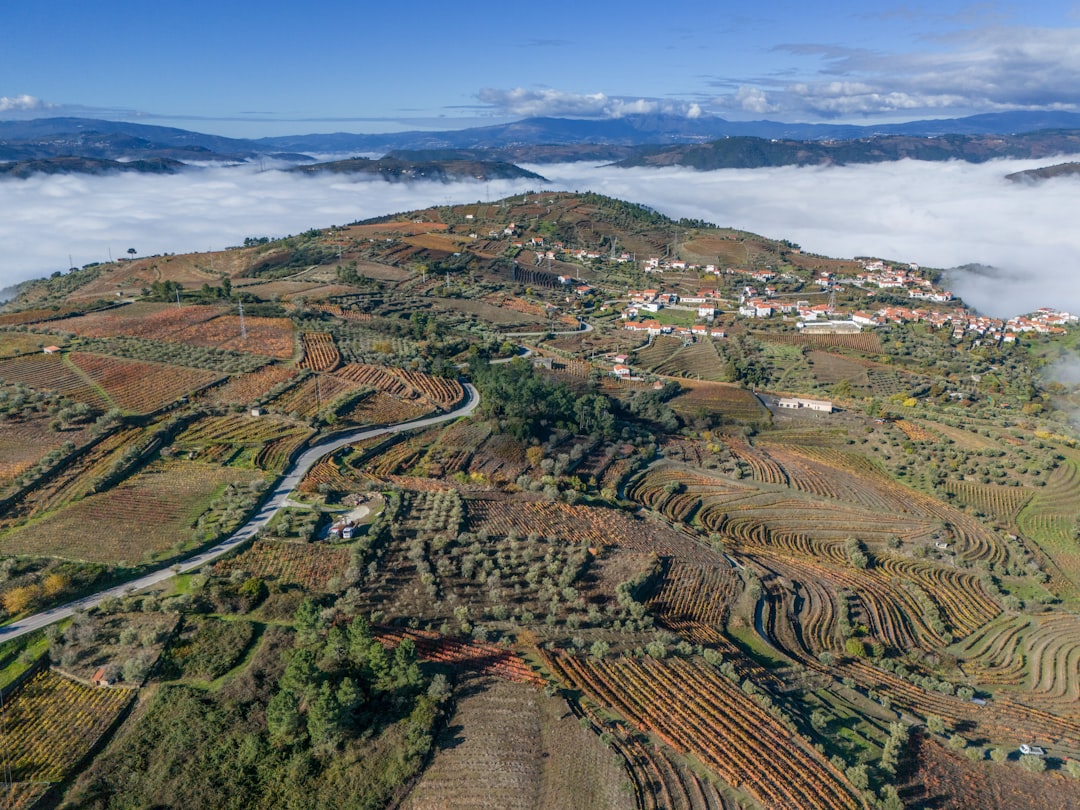 8 Beautiful Wine Regions in Europe on a Budget