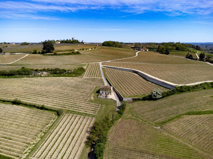 Left Bank vs Right Bank Bordeaux: The Difference That Decides the Bottle