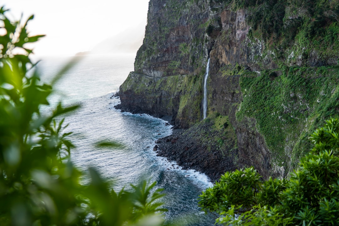 Madeira Wine Guide: The Bottle That Refuses to Die