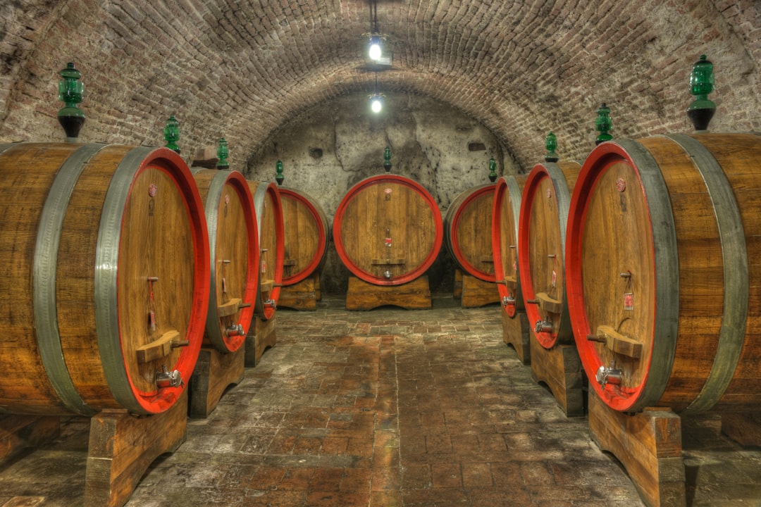 Oaked vs Unoaked Wine: What the Barrel Actually Does