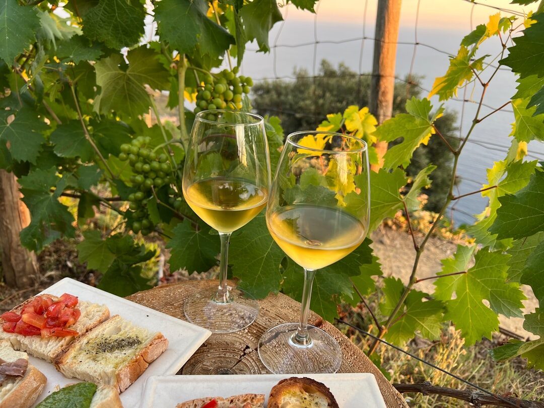 Pinot Grigio in 2026: Why the Grape Is Better Than Its Reputation