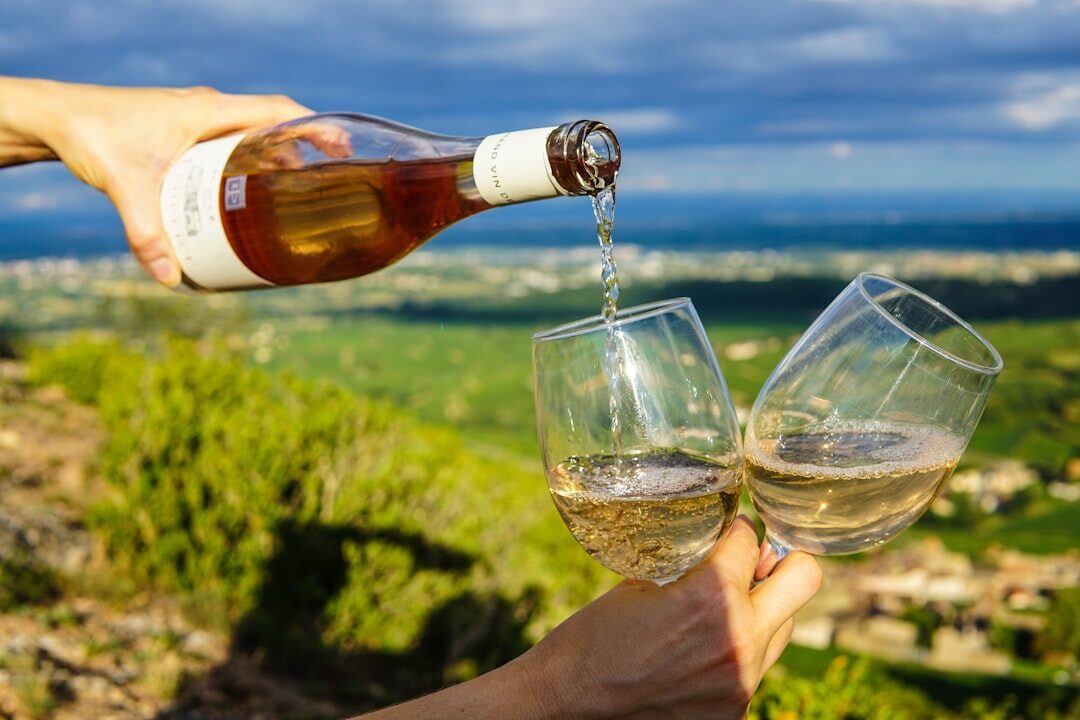 Sauvignon Blanc Decoded: The Three Styles That Define the Grape