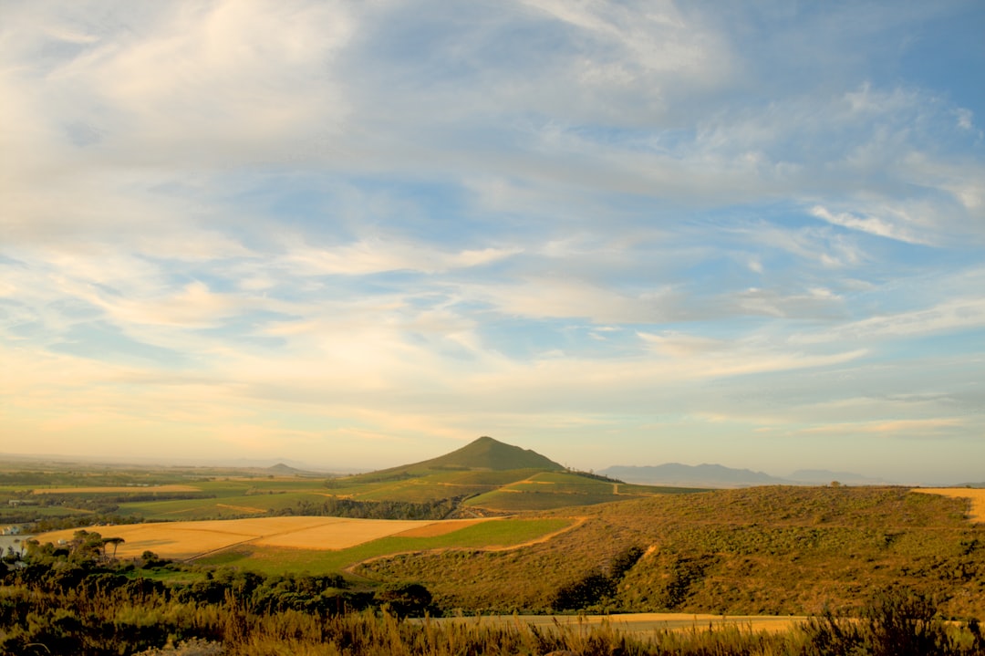 South African Wine Guide: Pinotage, Chenin and the Cape