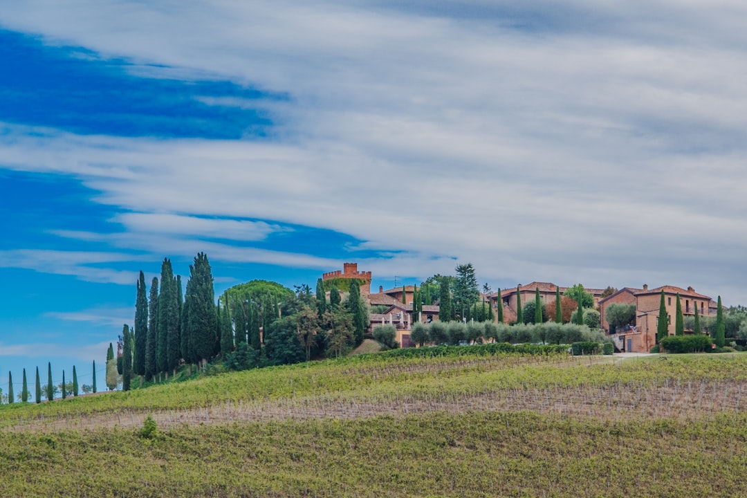 Super Tuscans: The Outlaw Wines That Beat the System