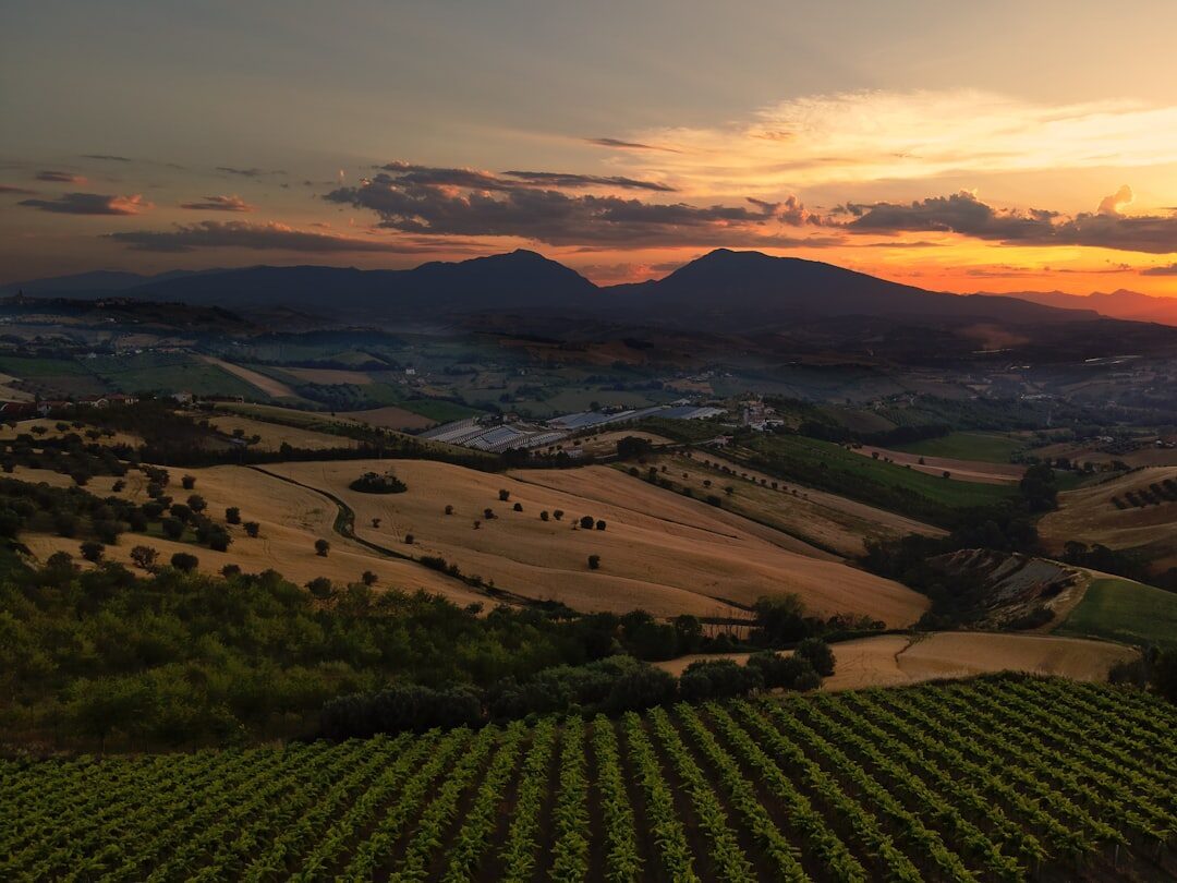 Top 10 Italian Wine Regions Beyond Tuscany: Where the Locals Actually Drink