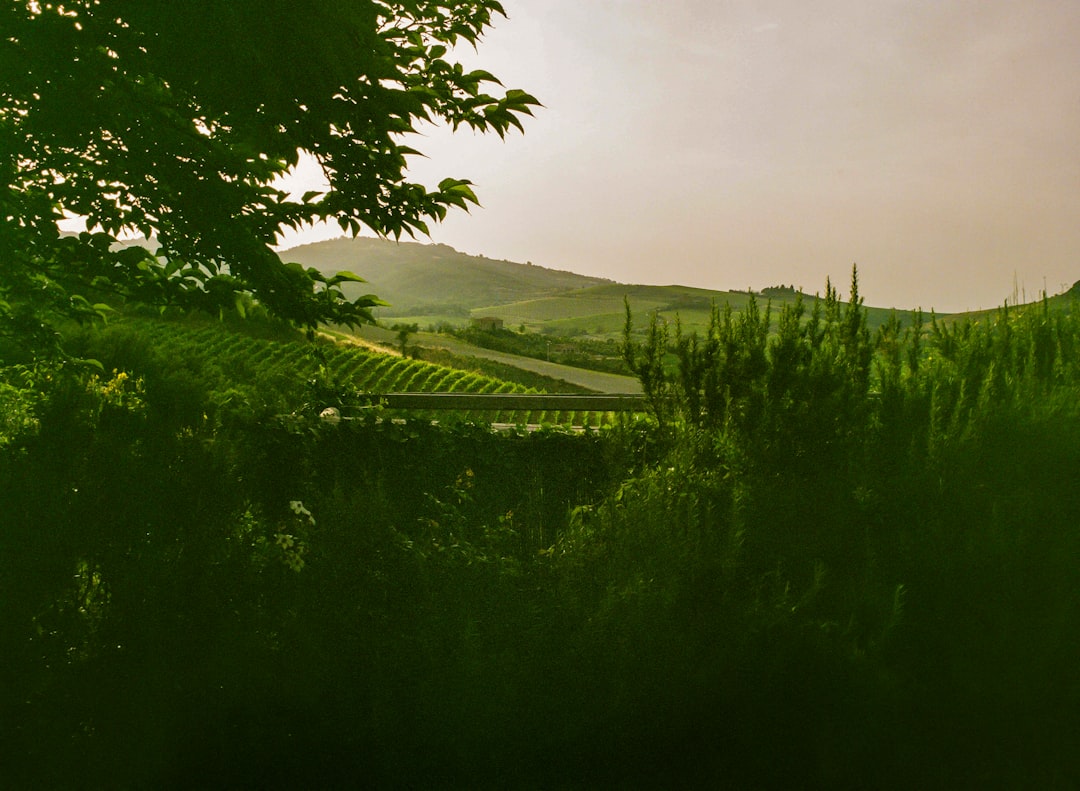 Tuscany Wine Guide for First-Time Visitors