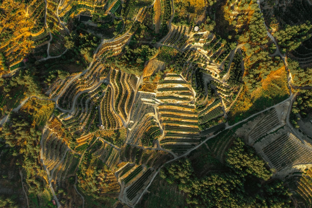 Wine Regions That Punch Above Their Weight in 2026: Mosel, Priorat, Piedmont and More