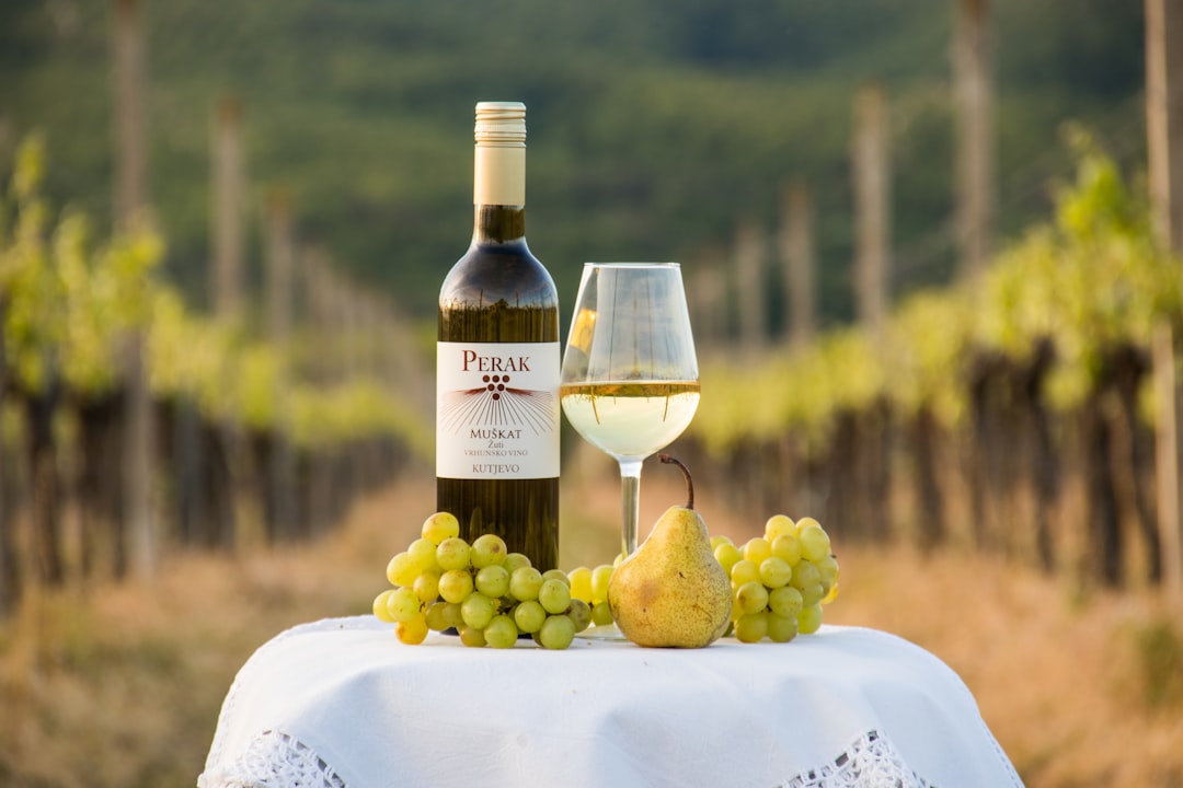 Semillon Wine Guide