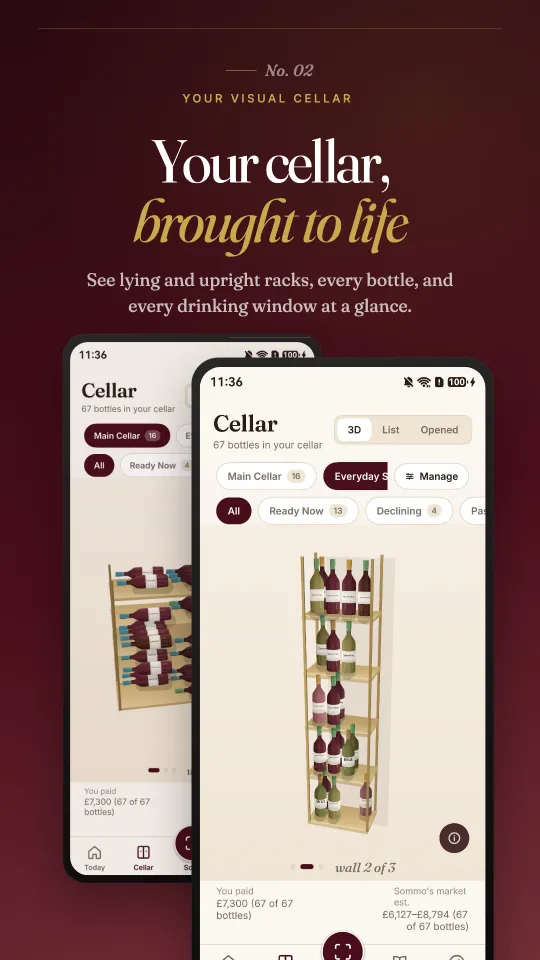 Cellar: horizontal and upright racks in 3D, with every bottle and its drinking window
