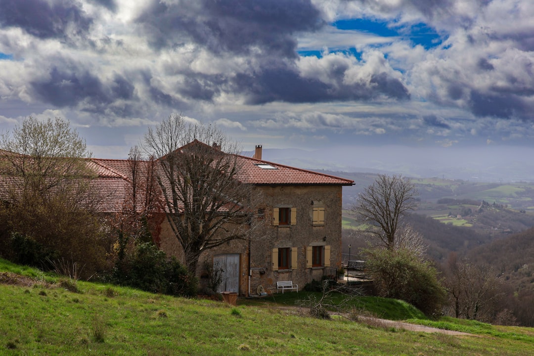 Beaujolais Wine Region Guide