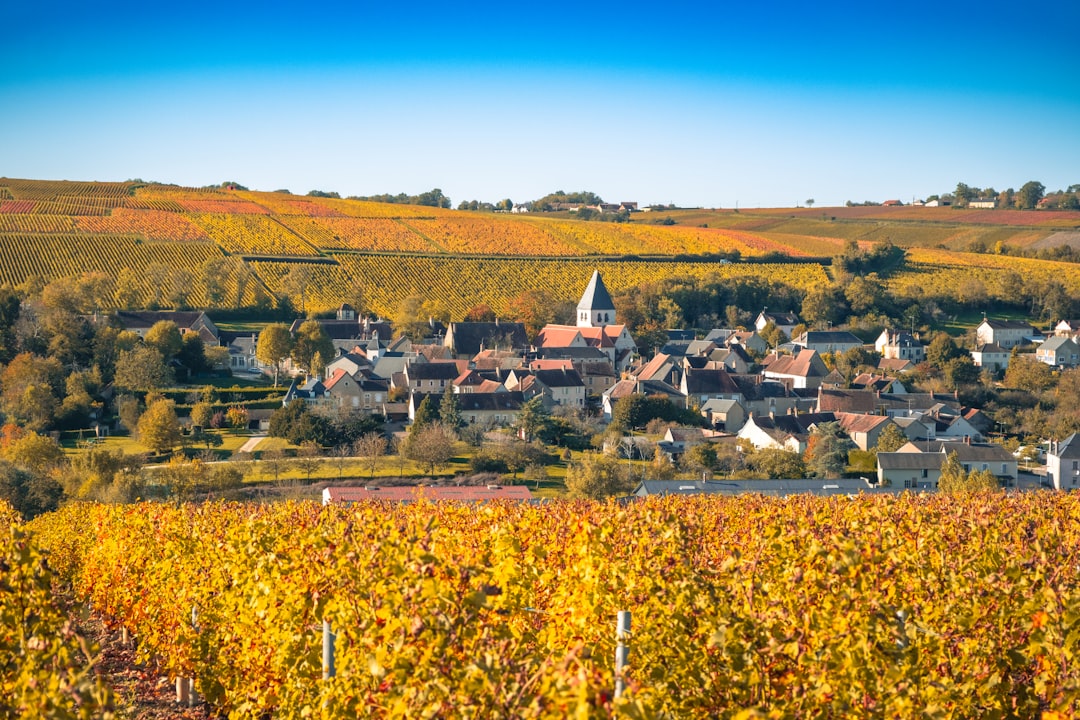 Loire Valley Wine Region Guide