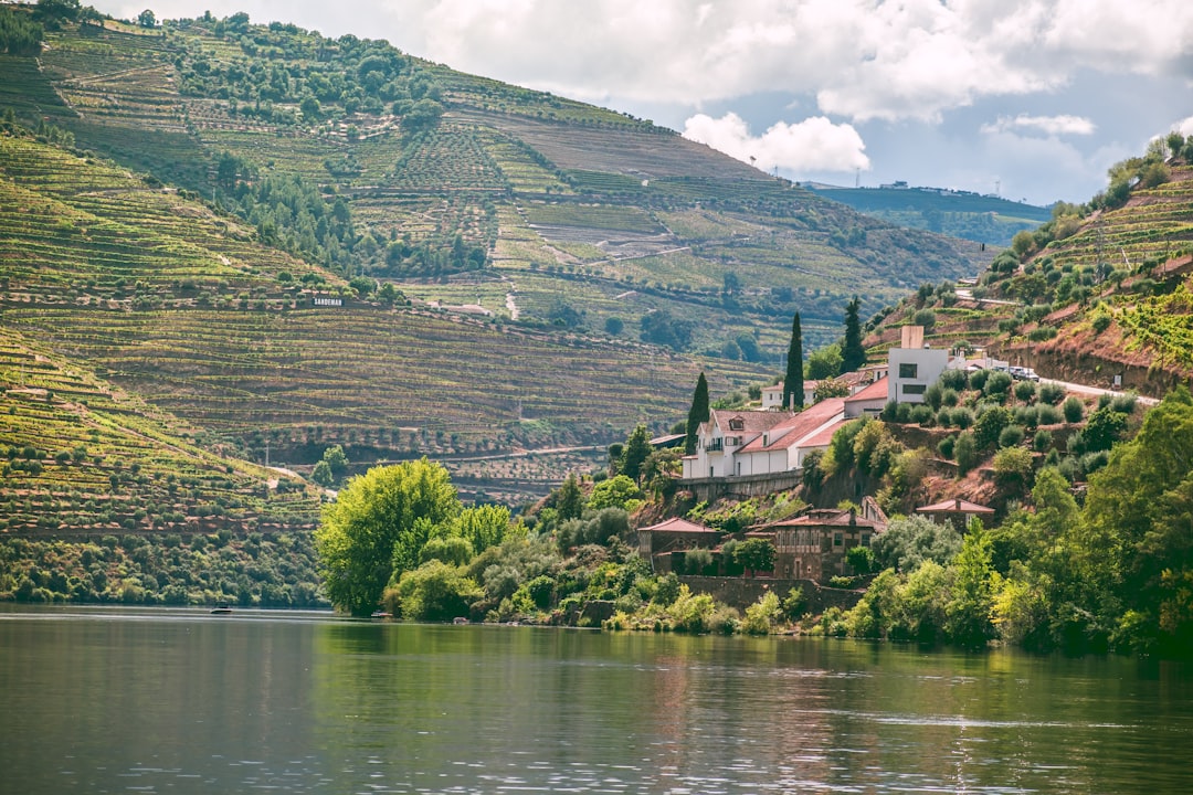 Portugal Wine Region Guide: Douro, Vinho Verde, Alentejo, and Beyond