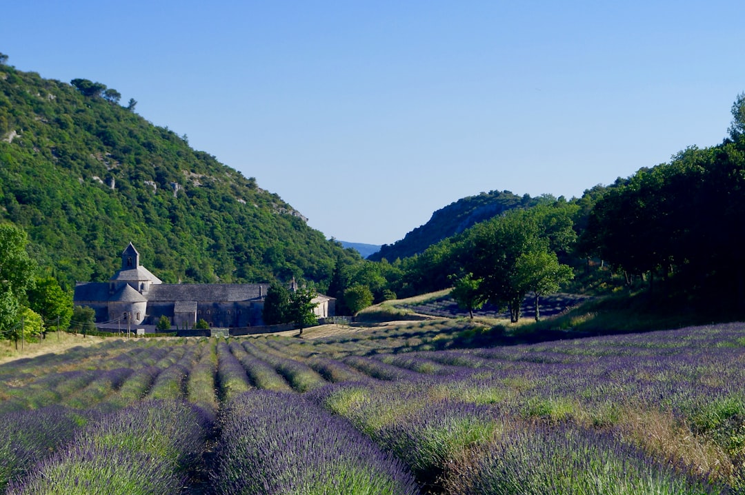 Provence preview