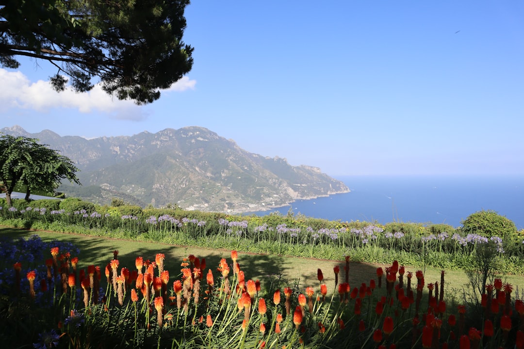 Sicily Wine Region Guide