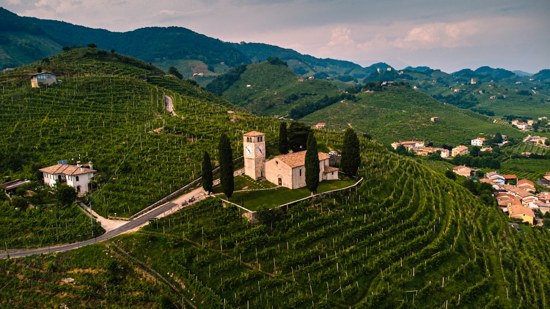 Veneto Wine Region Guide