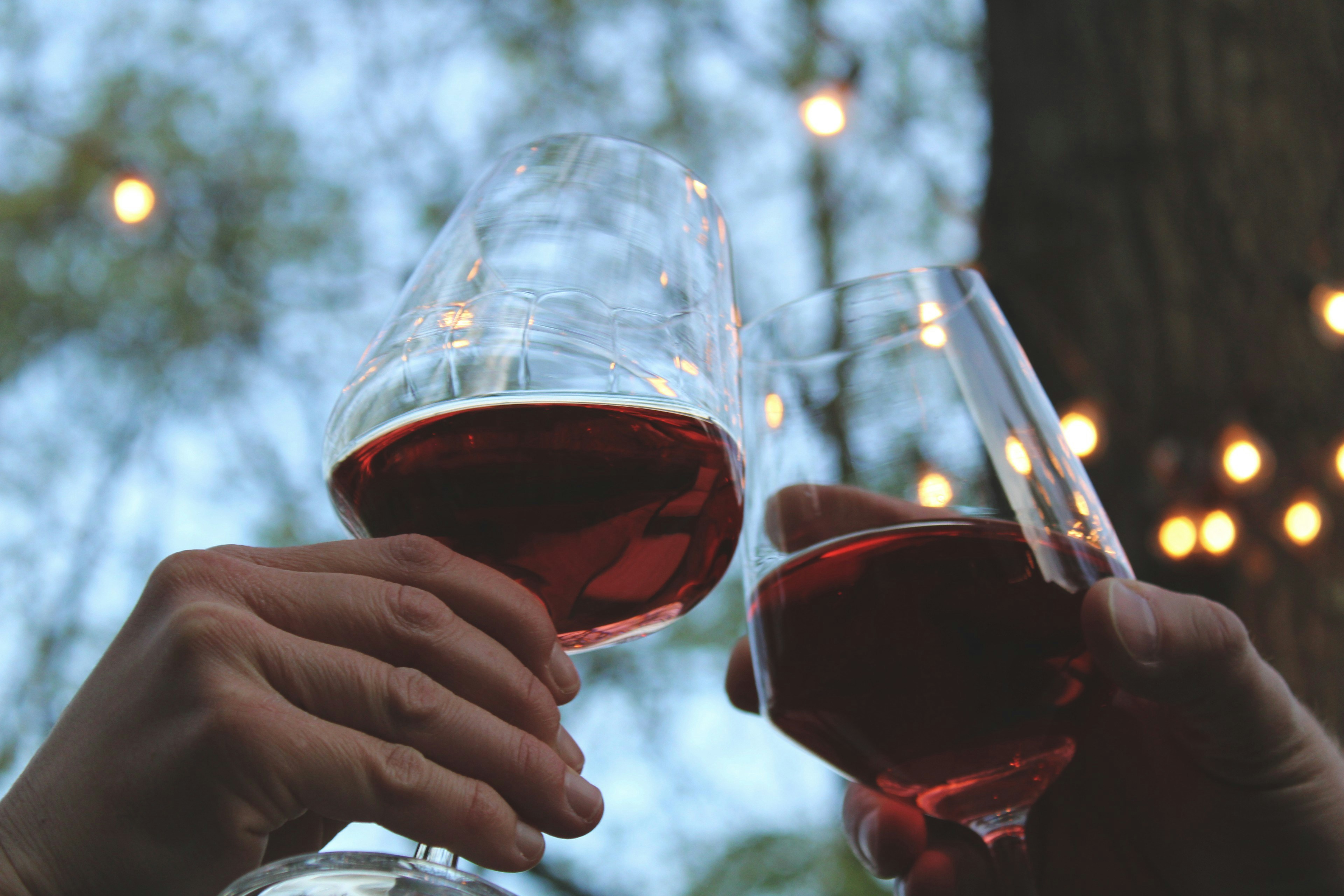 Complete Guide to Red Wine